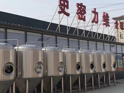 金坛精酿啤酒设备厂—如何判断精酿啤酒设备的密封件需要更换？
